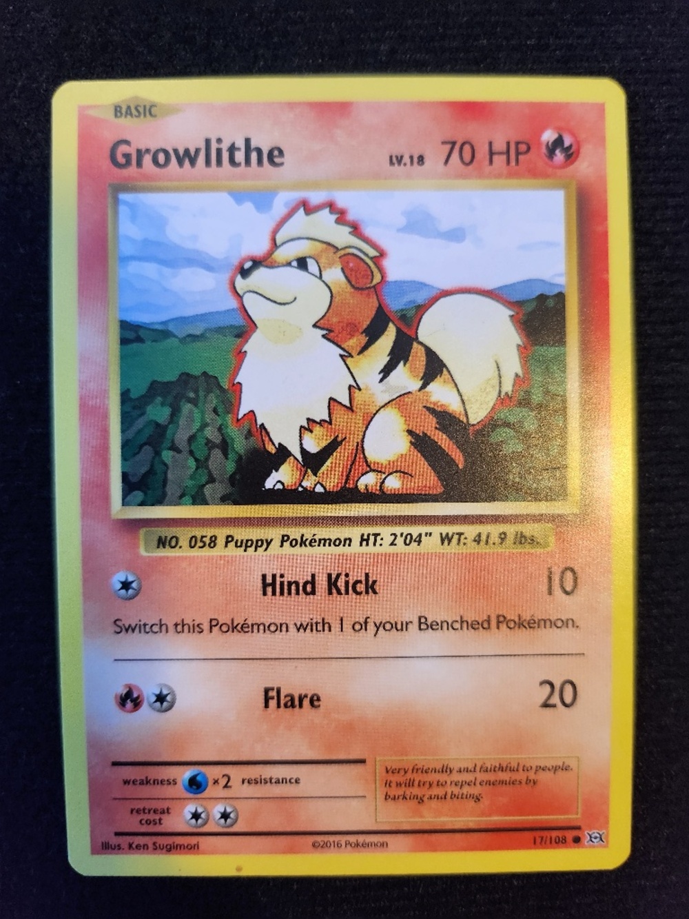 Growlithe (017/108) - Pokémon Trading Card Game - XY Evolutions (2016)